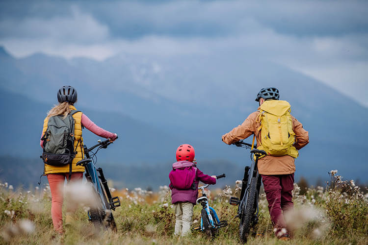 bicicletas